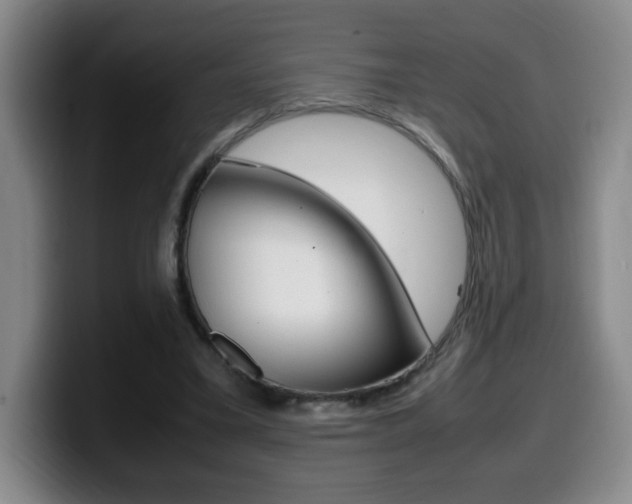X0000099460395200805090751