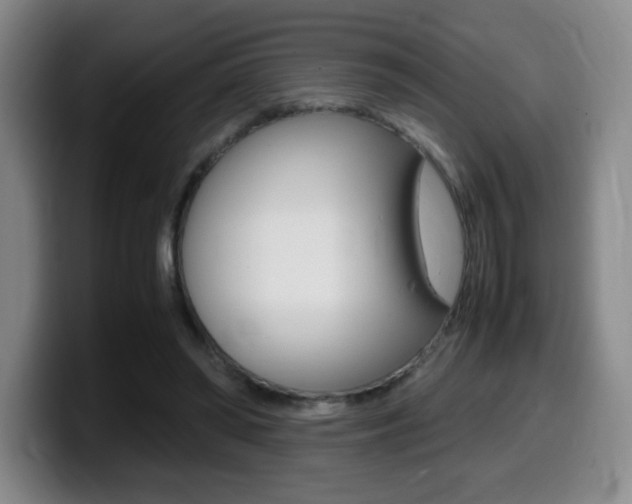 X0000099460398200805090751