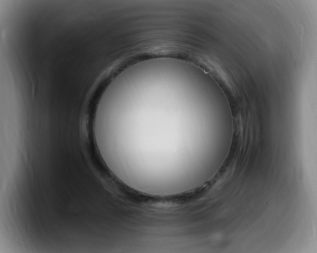 X0000099460400200805090751