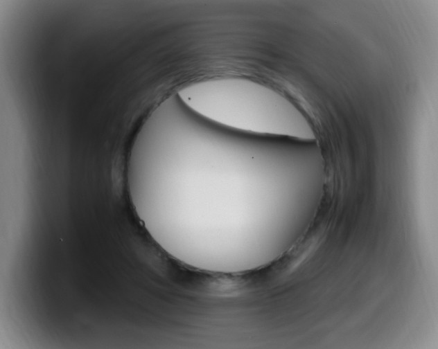 X0000099460402200805090751