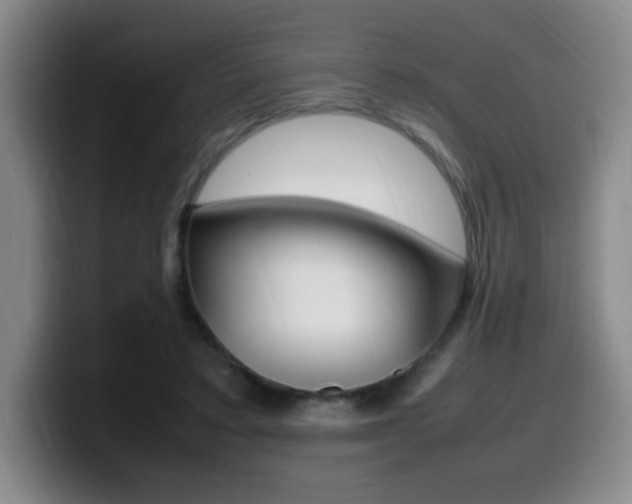 X0000099460403200805090751