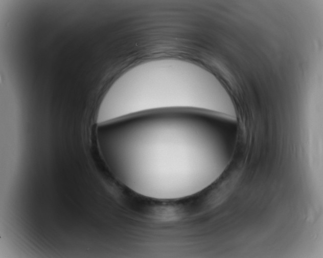 X0000099460404200805090751