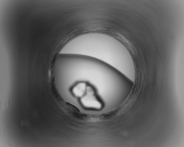 X0000099460405200805090751
