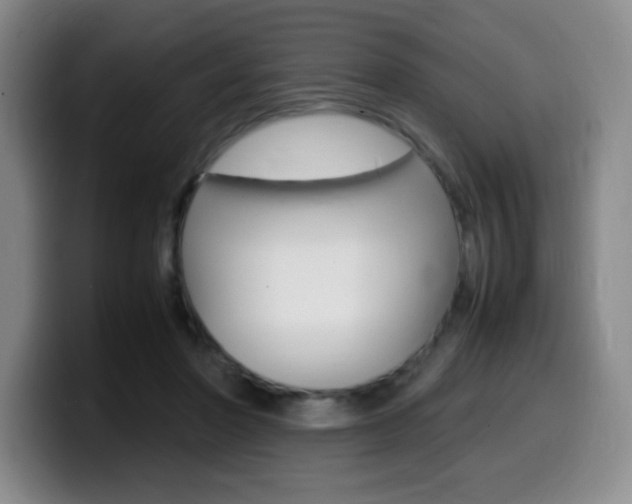 X0000099460406200805090751