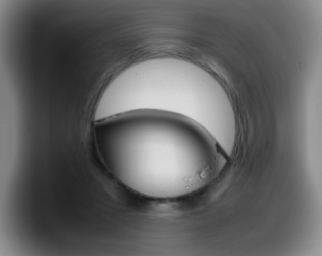 X0000099460407200805090751