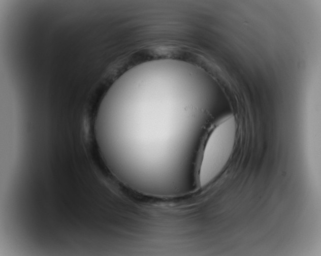 X0000099460408200805090751