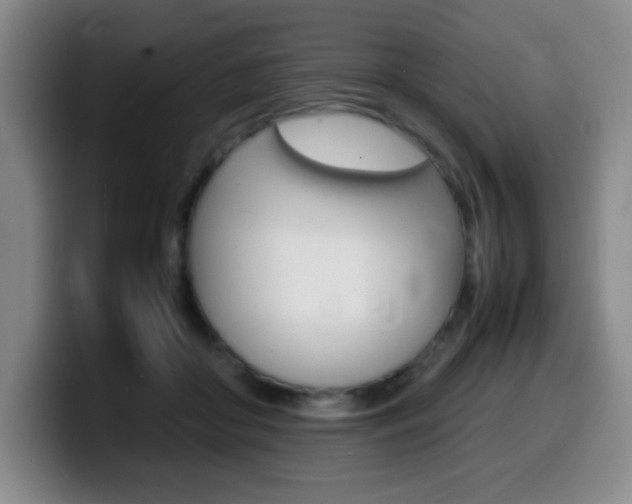 X0000099460410200805090751