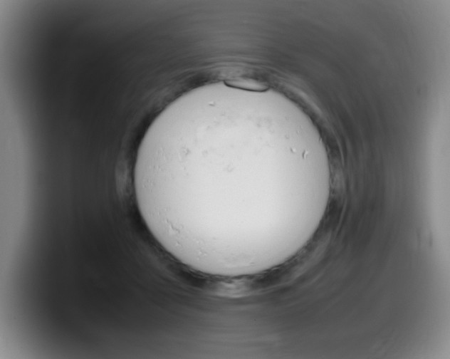 X0000099460411200805090751