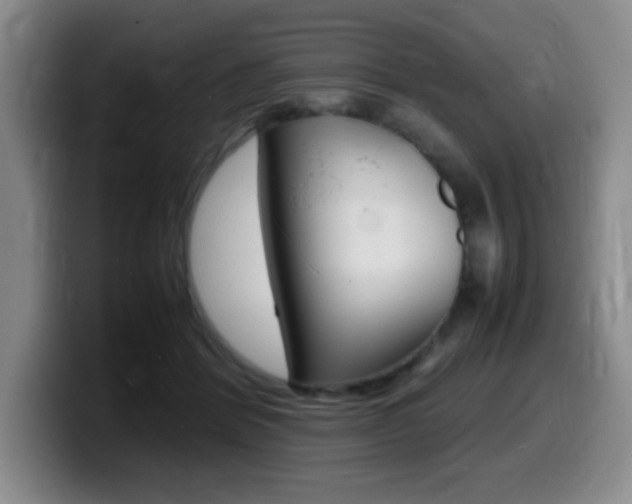 X0000099460412200805090751