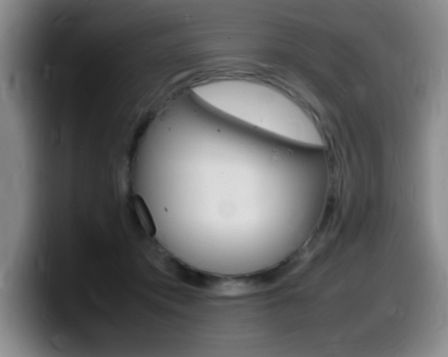 X0000099460413200805090751