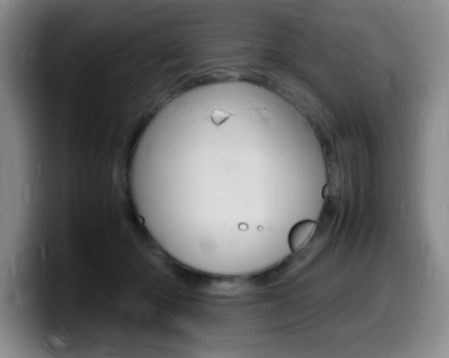 X0000099460414200805090751