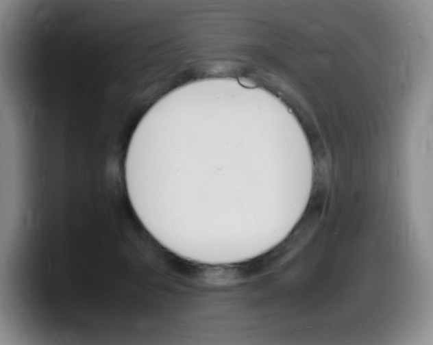 X0000099460415200805090751