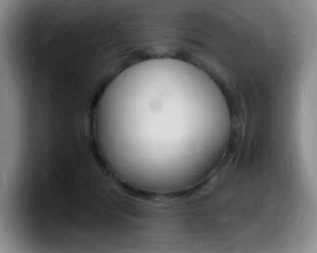 X0000099460416200805090751