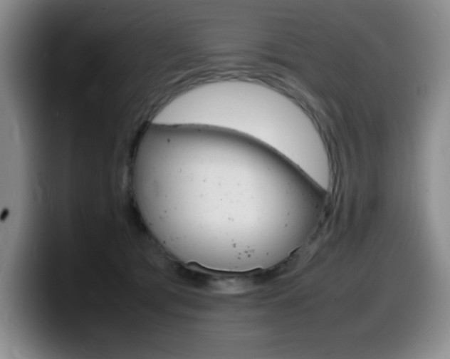 X0000099460417200805090751