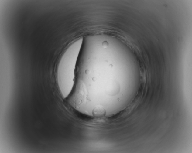 X0000099460418200805090751