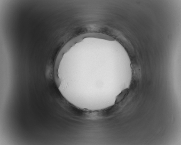 X0000099460419200805090751
