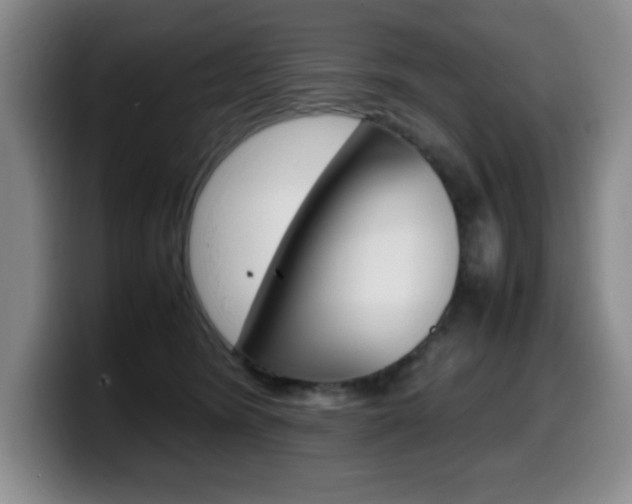 X0000099460420200805090751