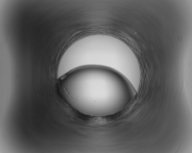 X0000099460421200805090751