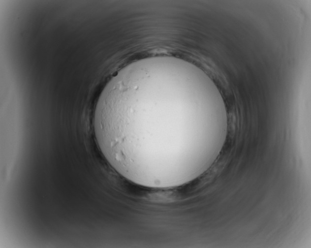 X0000099460422200805090751
