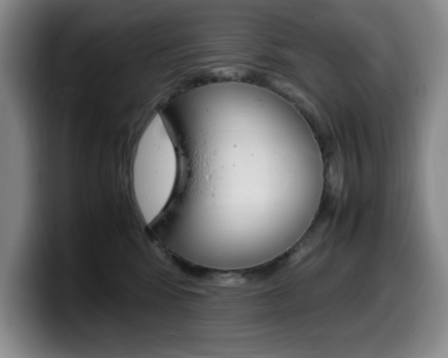 X0000099460424200805090751