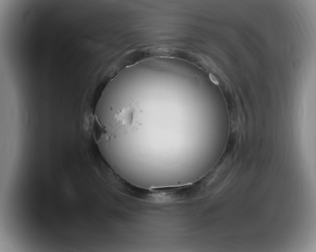 X0000099460425200805090751