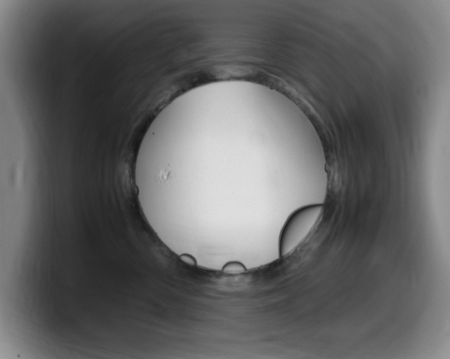 X0000099460426200805090751
