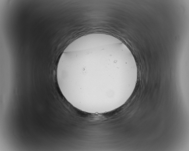 X0000099460427200805090751