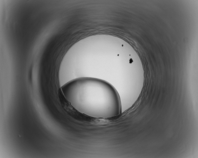 X0000099460429200805090751