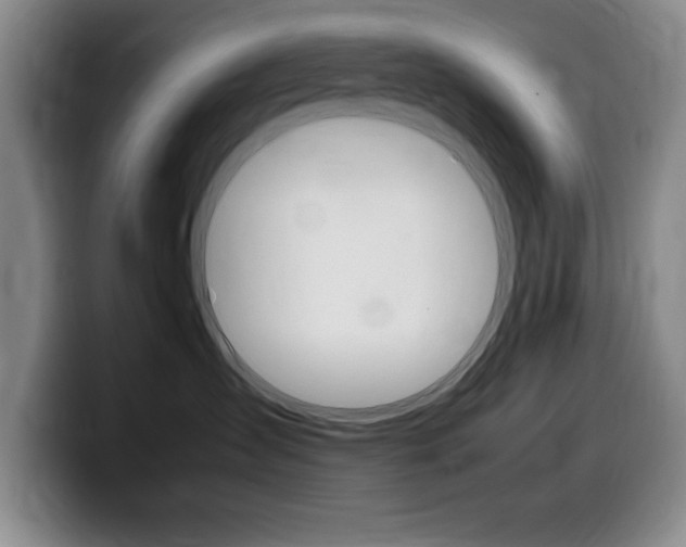X0000099460431200805090751