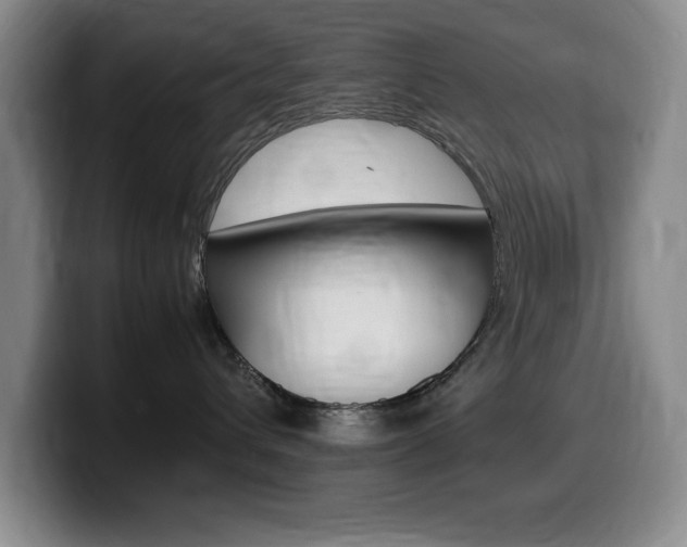 X0000099460432200805090751