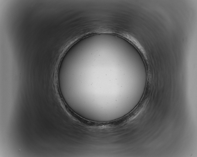 X0000099460433200805090750
