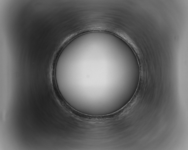 X0000099460434200805090750