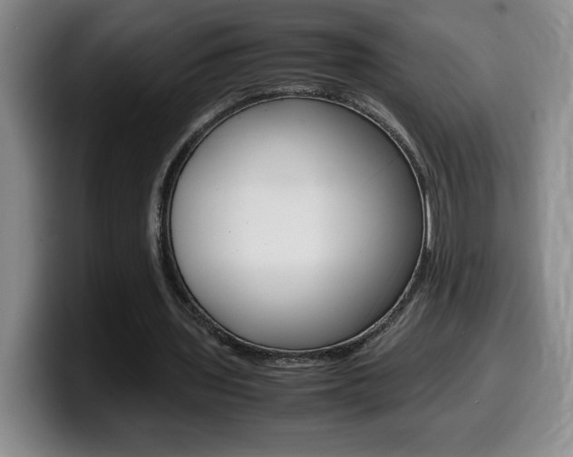 X0000099460435200805090750
