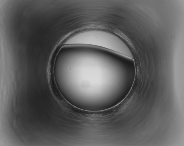X0000099460436200805090750