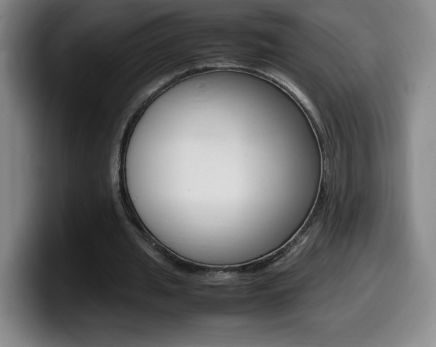 X0000099460437200805090750