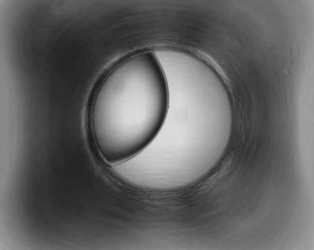X0000099460439200805090750