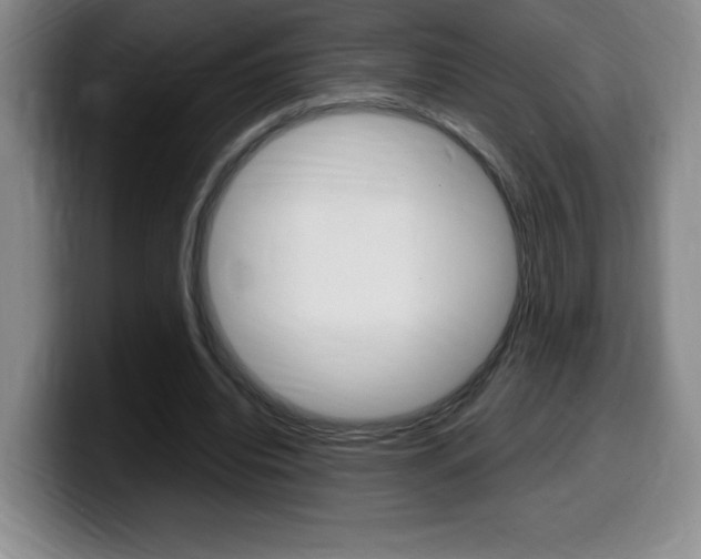 X0000099460440200805090750