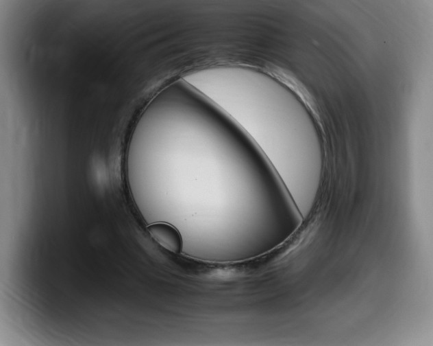 X0000099460441200805090750