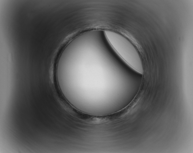 X0000099460442200805090750