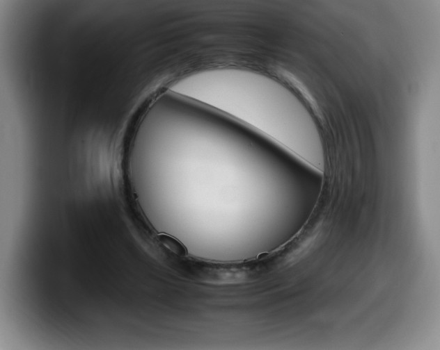 X0000099460443200805090750