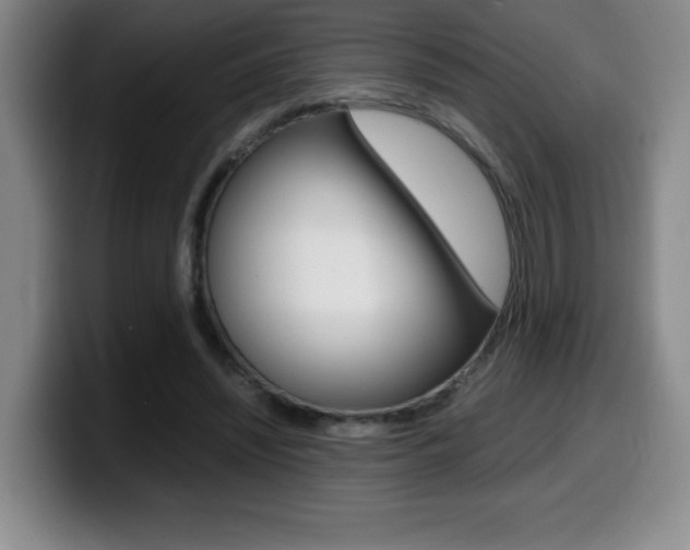 X0000099460444200805090750
