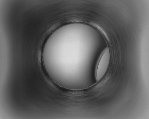X0000099460445200805090750