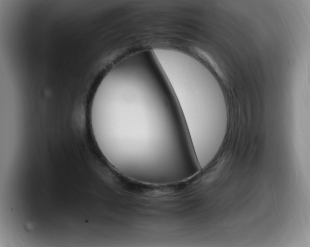 X0000099460447200805090750