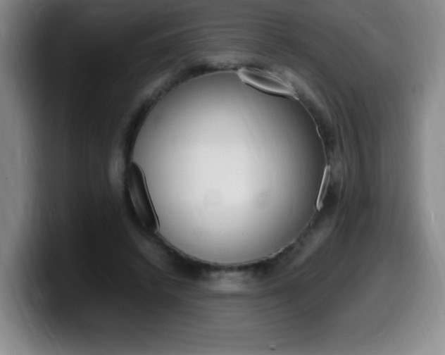 X0000099460448200805090750