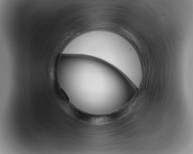 X0000099460452200805090751