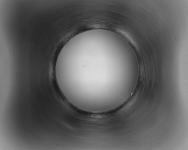 X0000099460453200805090751