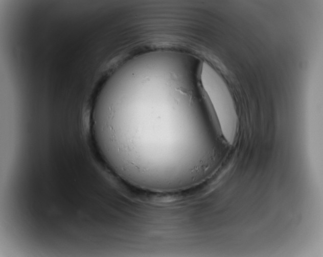 X0000099460454200805090751
