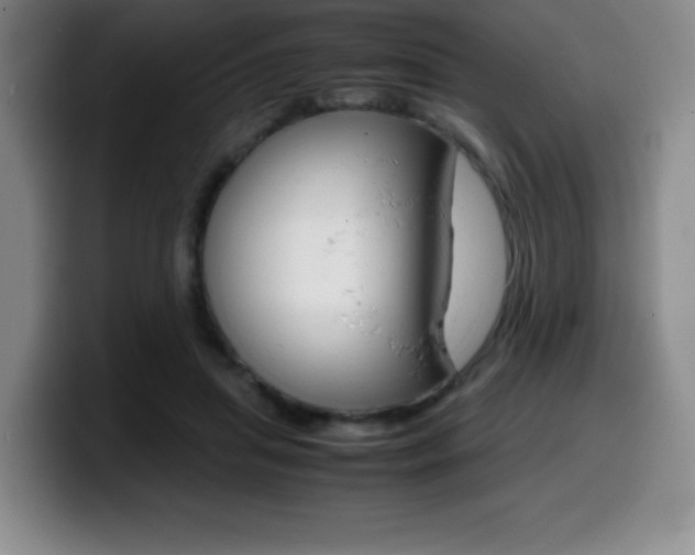 X0000099460455200805090751