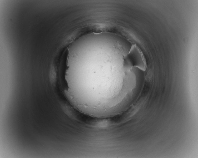X0000099460456200805090751