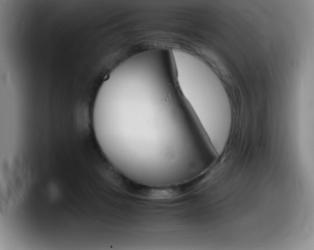 X0000099460457200805090751